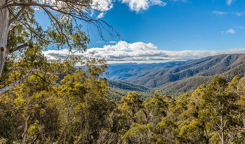 Wallace Creek Lookout - Accommodation Resorts 2