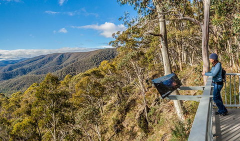 Wallace Creek Lookout - Accommodation Resorts 3