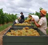 Golden Grove Estate - Accommodation Resorts