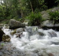 Washpool National Park - Accommodation Resorts