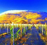 Surveyors Hill Winery - Accommodation Resorts