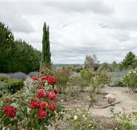 Crystal Brook Lavender Farm - Accommodation Resorts