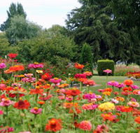 Alma Park - Accommodation Resorts