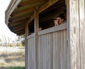 Dangars Lagoon And Racecourse Lagoon - Accommodation Resorts 3