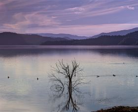 Scone NSW Accommodation Resorts