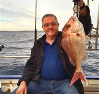 Deep Sea Fishing Charter - Accommodation Resorts