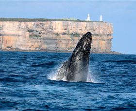 Cloud9 Tours - Accommodation Resorts 4