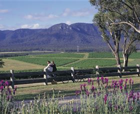 Cloud9 Tours - Accommodation Resorts 7