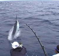 Amokura Charters - Accommodation Resorts