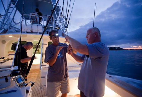 Amokura Charters - Accommodation Resorts 1