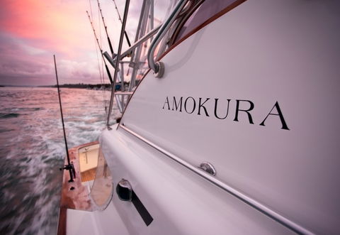 Amokura Charters - Accommodation Resorts 4