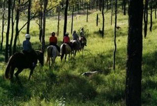 Windella NSW Accommodation Resorts