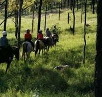 Hunter Valley Horse Riding and Adventures - Accommodation Resorts