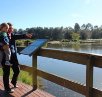 Hunter Wetlands Centre Australia - Accommodation Resorts