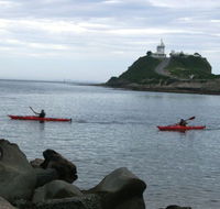 Newcastle Kayak Tours - Accommodation Resorts