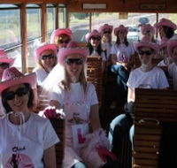 Newcastles Famous Tram - Accommodation Resorts