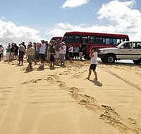 Port Stephens 4WD Tours - Accommodation Resorts