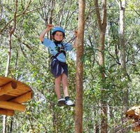 TreeTops Newcastle - Accommodation Resorts