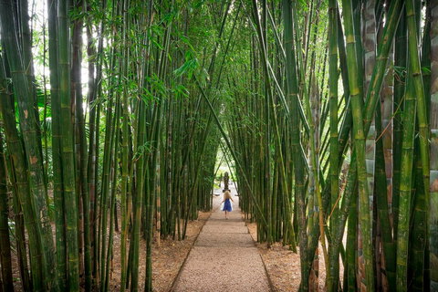 Crystal Castle & Shambhala Gardens - Accommodation Resorts 1