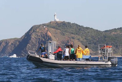 Byron Bay Dolphin Wildlife Tours - Accommodation Resorts 1