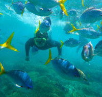 G Adventures - Accommodation Resorts