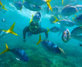 G Adventures - Accommodation Resorts 0