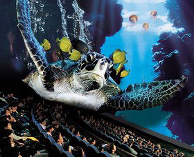 IMAX Theatre Sydney - Accommodation Resorts 0