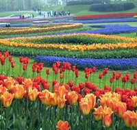 Botanica World Discoveries - Accommodation Resorts