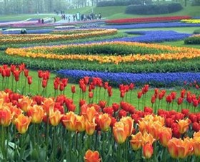 Botanica World Discoveries - Accommodation Resorts 0