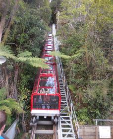 Country Charmâ„¢ Discovery Tours - Accommodation Resorts 6