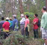 Boronia Tours - Accommodation Resorts
