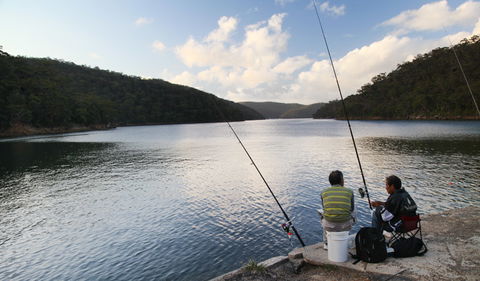 D'Albora Marinas At Akuna Bay - Accommodation Resorts 3