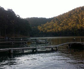 Church Point Ferry Service - Accommodation Resorts 5