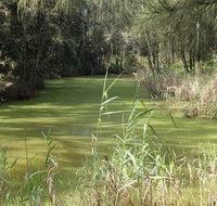 Second Ponds Creek walk - Accommodation Resorts