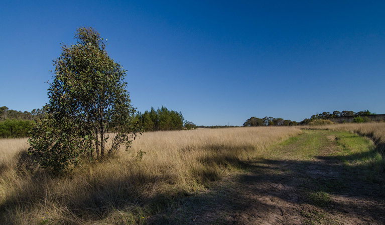 Oakville NSW Accommodation Resorts
