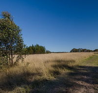 Scheyville horse riding trails - Accommodation Resorts