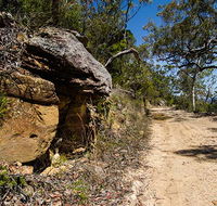Canoelands Ridge walking track - Accommodation Resorts