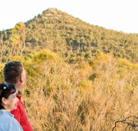 Piles Creek loop - Accommodation Resorts