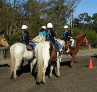 Darkes Forest Riding Ranch - Accommodation Resorts