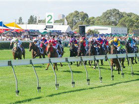 Morphettville Racecourse - Accommodation Resorts 0