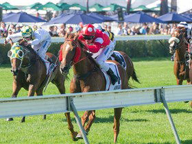 Morphettville Racecourse - Accommodation Resorts 2