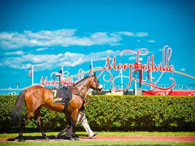 Morphettville Racecourse - Accommodation Resorts 3