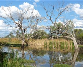 Lagoon Creek - Accommodation Resorts 0