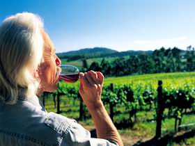 Ashton Hills Vineyard - Accommodation Resorts 0