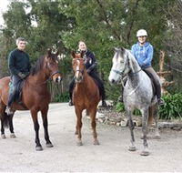 Academy of Dressage - Accommodation Resorts