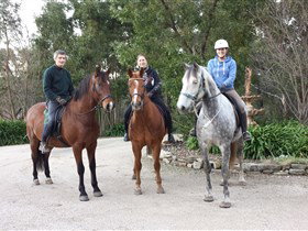Academy Of Dressage - Accommodation Resorts 0