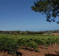 Grancari - Accommodation Resorts