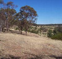 Onkaparinga River National Park - Accommodation Resorts