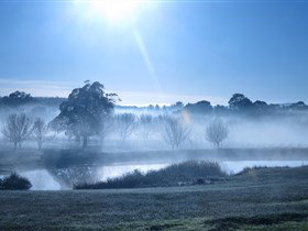 Top Note Vineyard - Accommodation Resorts 3