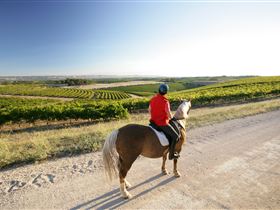 Kidman Trail - Accommodation Resorts 0